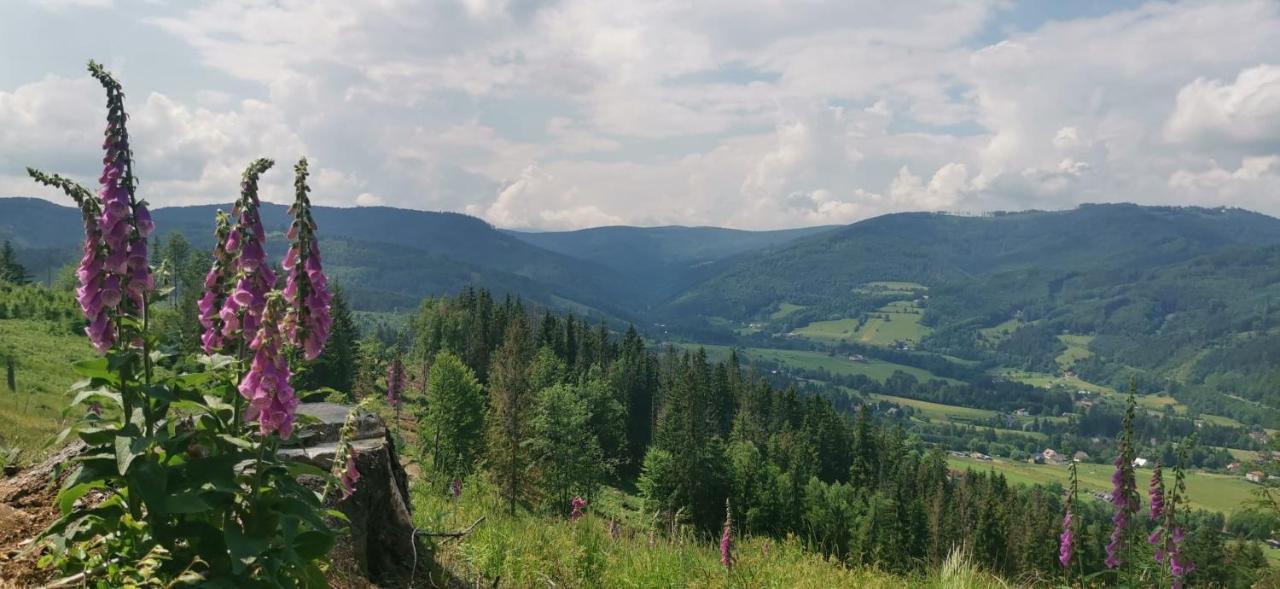 Chalupa Relax Dolní Lomná Exteriör bild